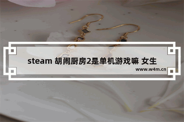 steam 胡闹厨房2是单机游戏嘛 女生单机休闲游戏推荐厨房