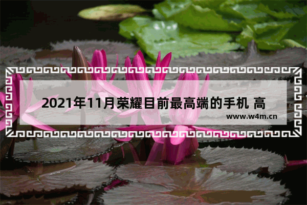 2021年11月荣耀目前最高端的手机 高端手机推荐排名榜最新