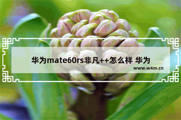 华为mate60rs非凡++怎么样 华为直板高端手机推荐一下