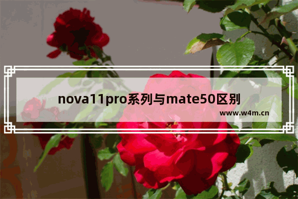 nova11pro系列与mate50区别 华为直板高端手机推荐哪款