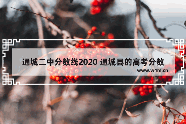 通城二中分数线2020 通城县的高考分数线