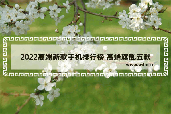 2022高端新款手机排行榜 高端旗舰五款手机推荐