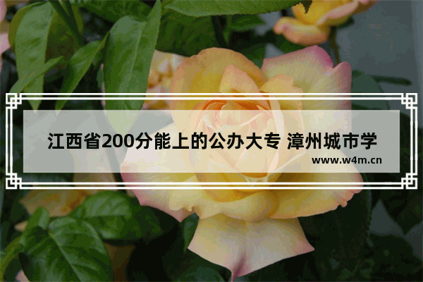 江西省200分能上的公办大专 漳州城市学院高考分数线