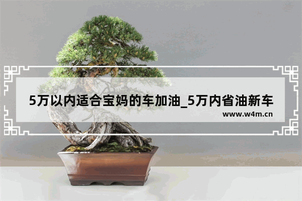 5万以内适合宝妈的车加油_5万内省油新车推荐哪款好点