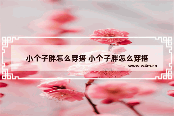 小个子胖怎么穿搭 小个子胖怎么穿搭