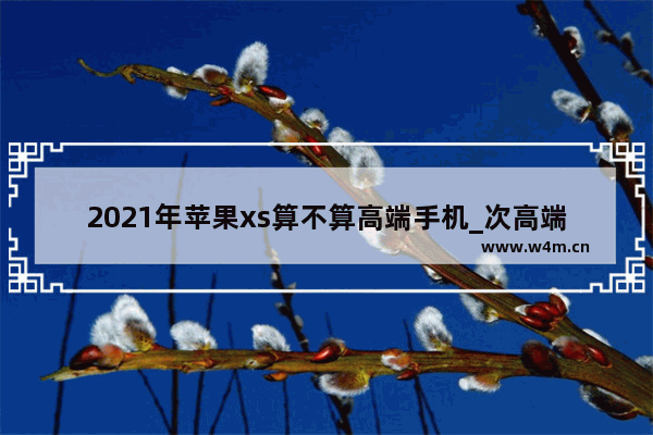 2021年苹果xs算不算高端手机_次高端手机推荐