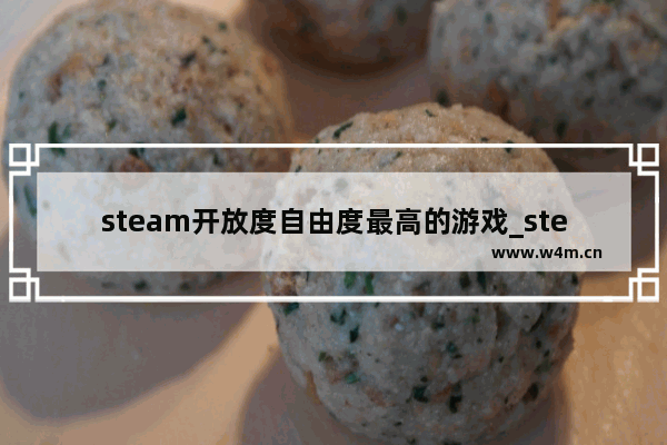 steam开放度自由度最高的游戏_steam开放交易时间