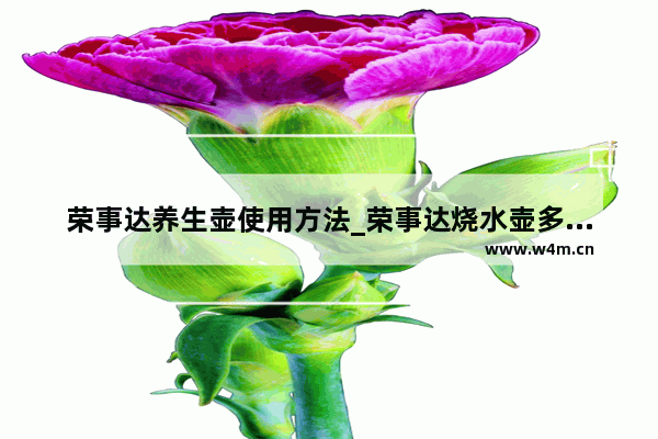 荣事达养生壶使用方法_荣事达烧水壶多功能的怎么用