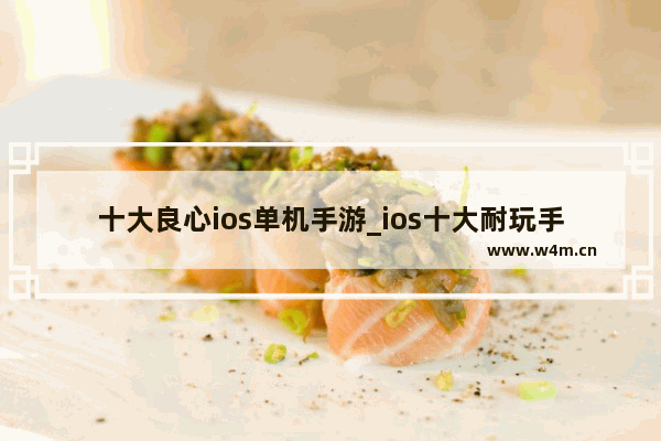 十大良心ios单机手游_ios十大耐玩手游免费单机游戏