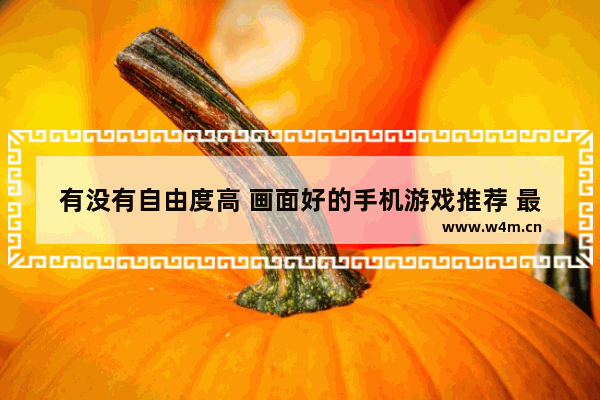 有没有自由度高 画面好的手机游戏推荐 最好玩的自由度又高的游戏推荐手机