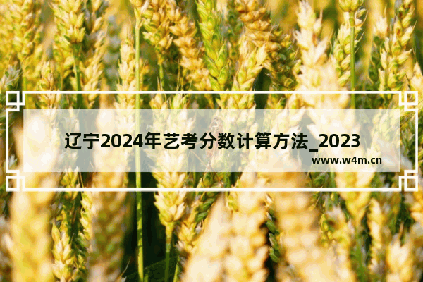 辽宁2024年艺考分数计算方法_2023辽宁高考艺术类录取规则