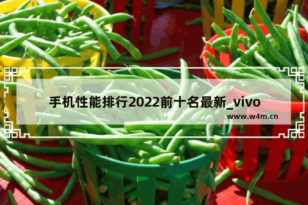 手机性能排行2022前十名最新_vivo骁龙875手机排名