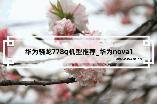 华为骁龙778g机型推荐_华为nova11高通骁龙778g是什么水平