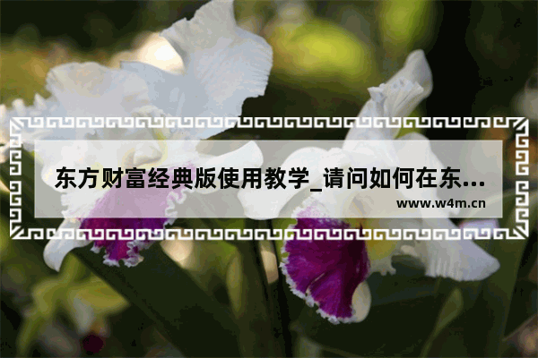 东方财富经典版使用教学_请问如何在东方财富通(经典版)上购股票