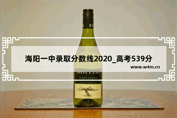 海阳一中录取分数线2020_高考539分算什么水平