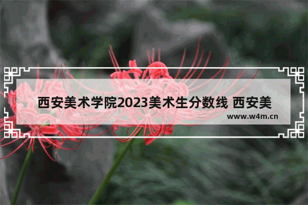 西安美术学院2023美术生分数线 西安美术艺术生高考分数线