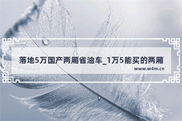 落地5万国产两厢省油车_1万5能买的两厢车哪款马力最大