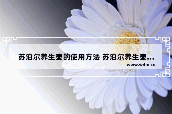 苏泊尔养生壶的使用方法 苏泊尔养生壶各个功能