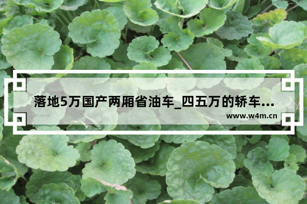 落地5万国产两厢省油车_四五万的轿车或者两厢车 那款好