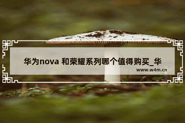 华为nova 和荣耀系列哪个值得购买_华为荣耀系列和nova系列哪个更好