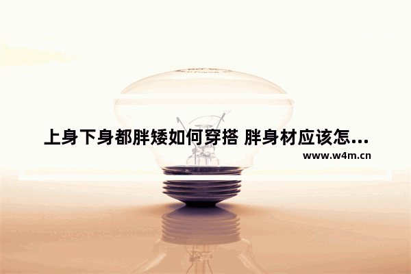 上身下身都胖矮如何穿搭 胖身材应该怎样穿搭