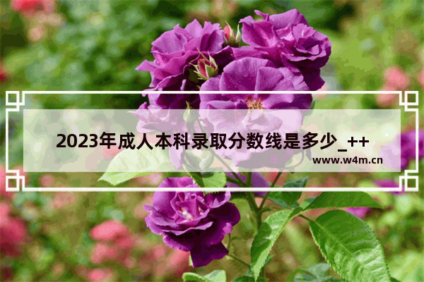 2023年成人本科录取分数线是多少_++++录取分数线一般是多少