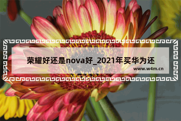 荣耀好还是nova好_2021年买华为还是买荣耀