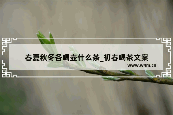 春夏秋冬各喝壶什么茶_初春喝茶文案