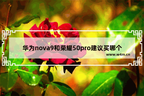 华为nova9和荣耀50pro建议买哪个 华为和荣耀手机推荐哪款好用一点