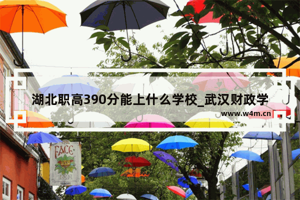 湖北职高390分能上什么学校_武汉财政学校有高考班吗