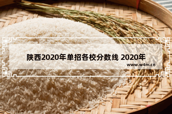 陕西2020年单招各校分数线 2020年单招高考分数线