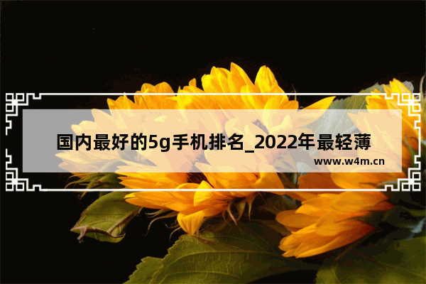 国内最好的5g手机排名_2022年最轻薄的5g手机排名