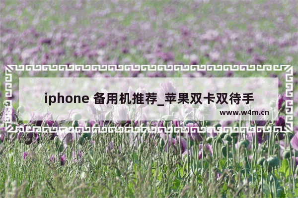 iphone 备用机推荐_苹果双卡双待手机性价比推荐