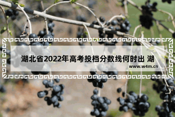 湖北省2022年高考投档分数线何时出 湖北高考分数线还没公布吗