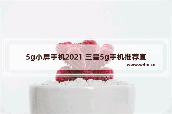 5g小屏手机2021 三星5g手机推荐直屏小屏幕吗