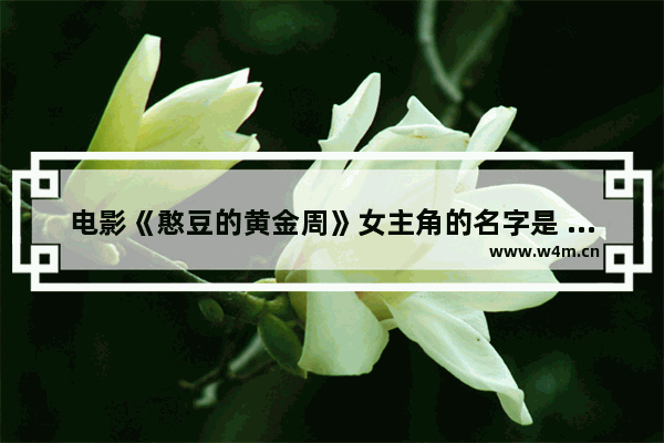 电影《憨豆的黄金周》女主角的名字是 憨豆最新电影叫啥名字