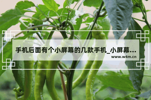 手机后面有个小屏幕的几款手机_小屏幕拍照手机推荐