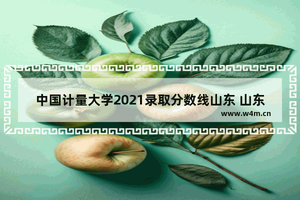 中国计量大学2021录取分数线山东 山东高校在浙江高考分数线