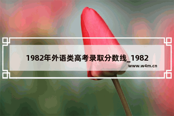 1982年外语类高考录取分数线_1982年广西高考录取分数线