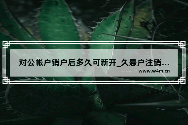 对公帐户销户后多久可新开_久悬户注销多久才能重新开户