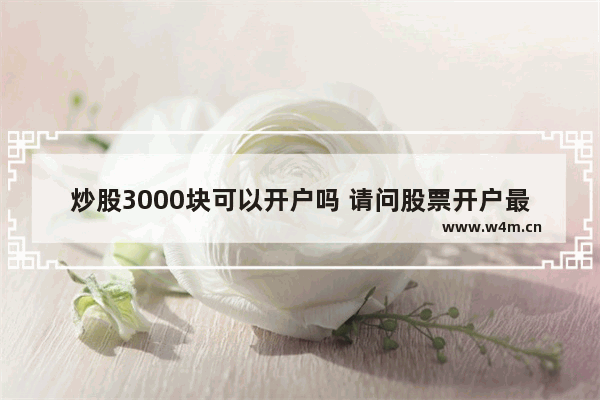 炒股3000块可以开户吗 请问股票开户最低需要多少钱