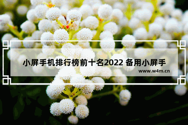 小屏手机排行榜前十名2022 备用小屏手机推荐哪款比较好一点