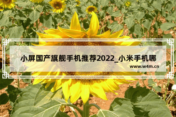 小屏国产旗舰手机推荐2022_小米手机哪个型号性价比最高