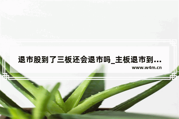 退市股到了三板还会退市吗_主板退市到新三板的股票怎么办