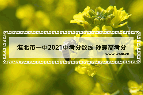 淮北市一中2021中考分数线 孙疃高考分数线是多少