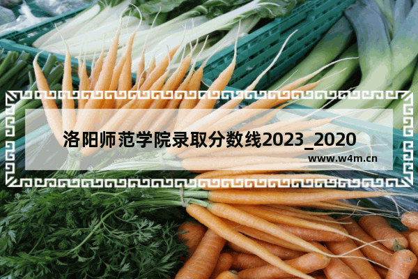 洛阳师范学院录取分数线2023_2020年洛阳师范的分数线是多少