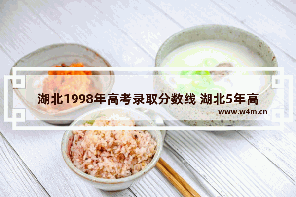 湖北1998年高考录取分数线 湖北5年高考分数线