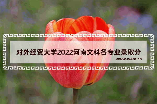 对外经贸大学2022河南文科各专业录取分数线 河南经贸高考分数线22年