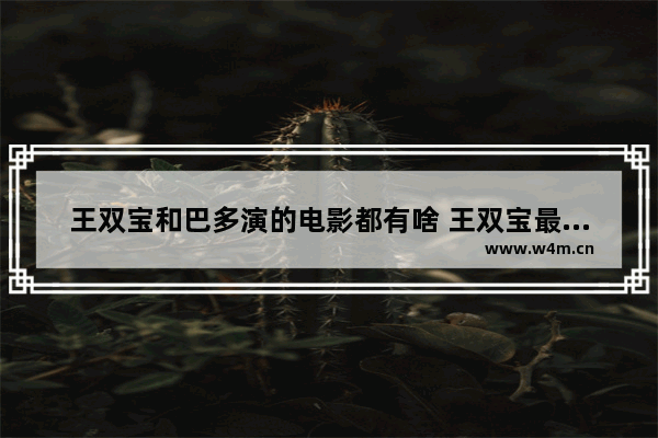 王双宝和巴多演的电影都有啥 王双宝最新电影有哪些电影名字