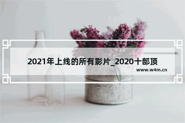 2021年上线的所有影片_2020十部顶级欧美电影推荐